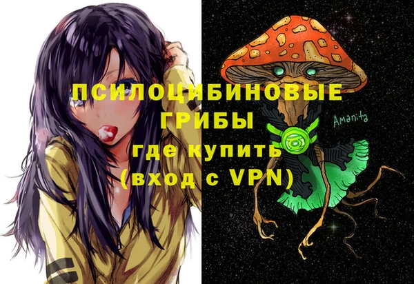 spice Аркадак