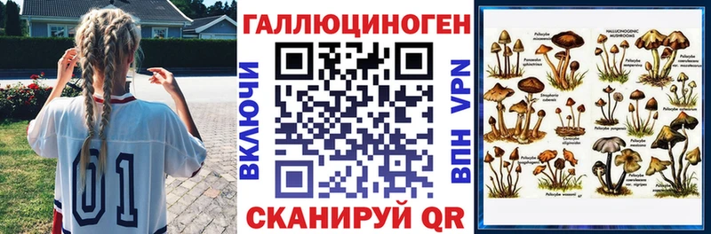купить наркоту  MEGA зеркало  Галлюциногенные грибы Psilocybe  Саки 