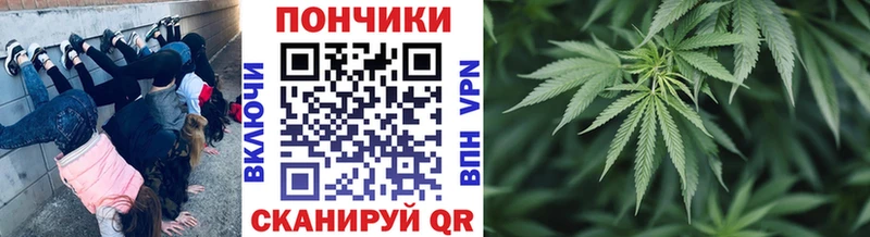 omg зеркало  даркнет сайт  Саки  Конопля OG Kush 